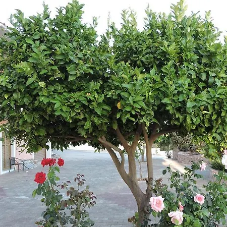 Hotel apartamentowy Aristomenis 4*