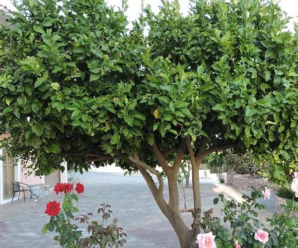 Lejlighedshotel Aristomenis 4*